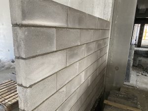IMG-6017