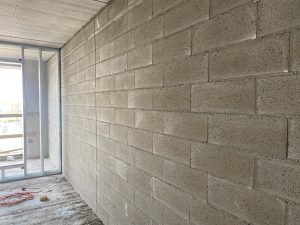IMG-6023