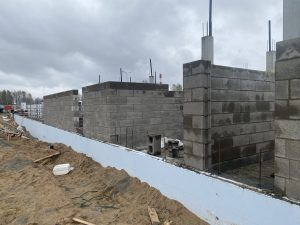 IMG-6449