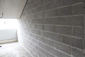 IMG_6778