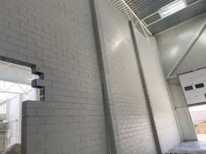 IMG_7235